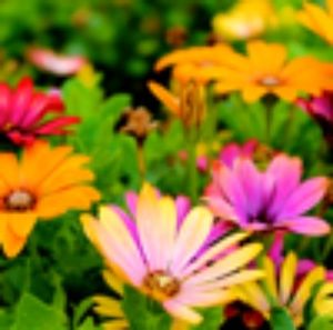 Meet your Posher, Zhi